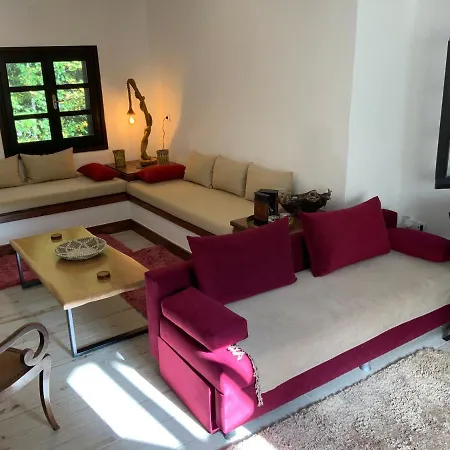 Tatil Evi Pelion 7 Lives *