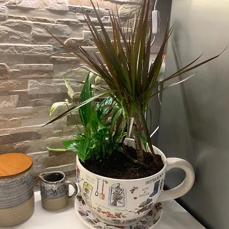 Pelion 7 Lives Casa de Férias *