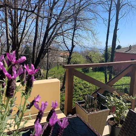 Casa de Férias Pelion 7 Lives Tsagarada