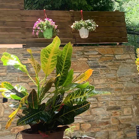 בית נופש Pelion 7 Lives *