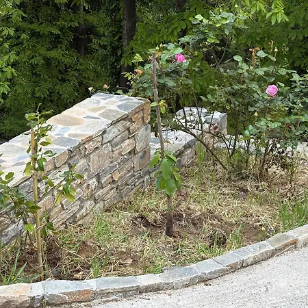 Pelion 7 Lives Cangaráda