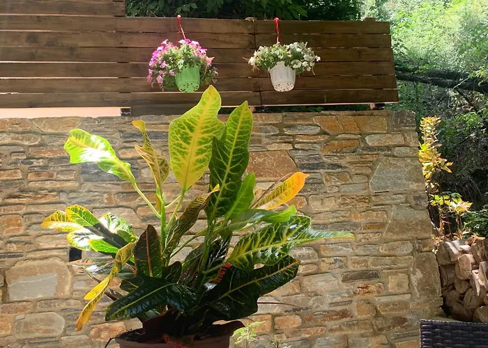 בית נופש Pelion 7 Lives *